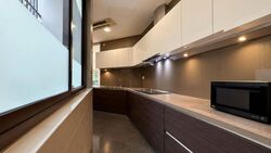 Belle Vue Residences (D9), Condominium #632691871